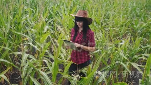 智慧生态农业养殖理念.. 农民女孩植物研究员在检查玉米时使用和触摸平板电脑