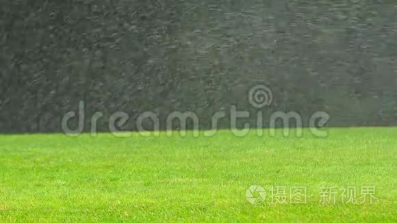 春天公园里下大雨