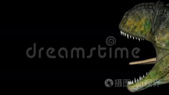 黑色背景旋转中的岩龙恐龙视频