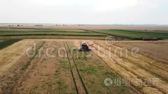 现代联合收割小麦田间空中景观视频