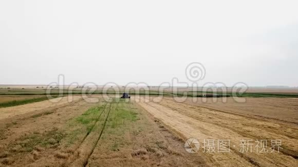 现代联合收割小麦田间空中景观视频