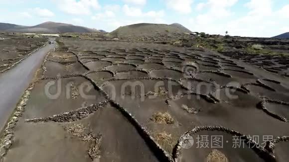 加那利群岛兰萨罗特黑火山土壤上LaGeria葡萄园的空中录像