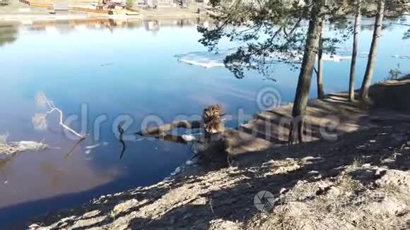 在德维纳河和采石场之间视频