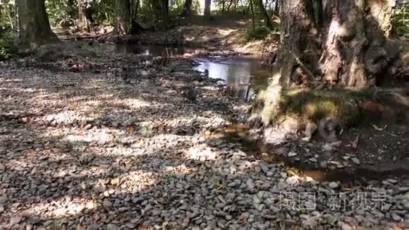 大自然中的秋河视频