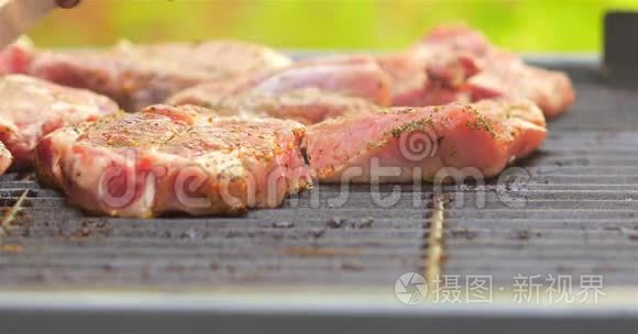 准备烧烤肉卷和肉条视频