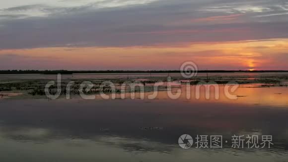 多瑙河三角洲湖泊上美丽的日出视频