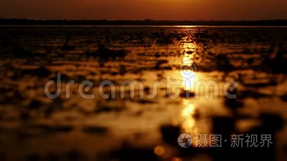 多瑙河三角洲湖泊上美丽的日出视频