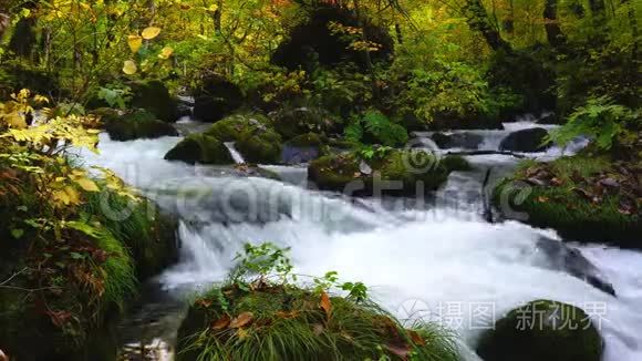 奥拉西峡谷森林风景