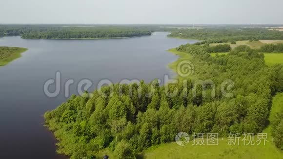 扎罗诺沃湖的野生性质视频