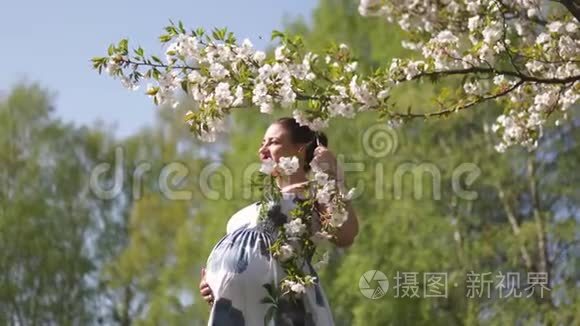 年轻的旅行者孕妇在公园里享受闲暇时光，樱花盛开，穿着樱花树