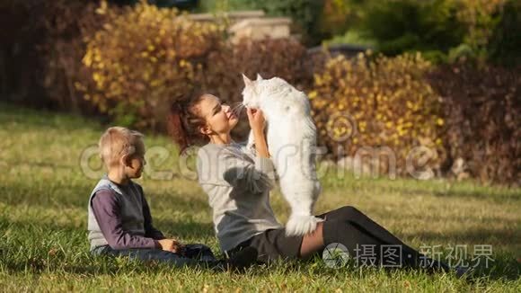 小女孩和缅因州浣熊猫视频