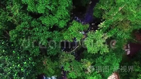 马来西亚基达森林美景视频