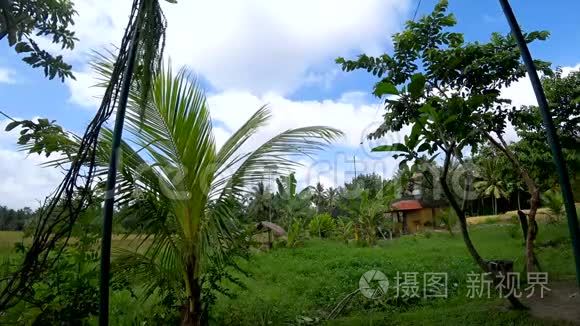 印尼水稻梯田景观.