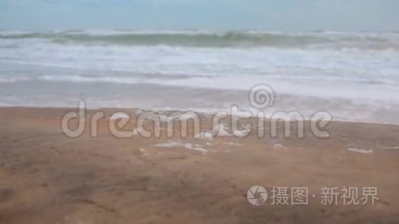 海岸风暴中的巨浪视频