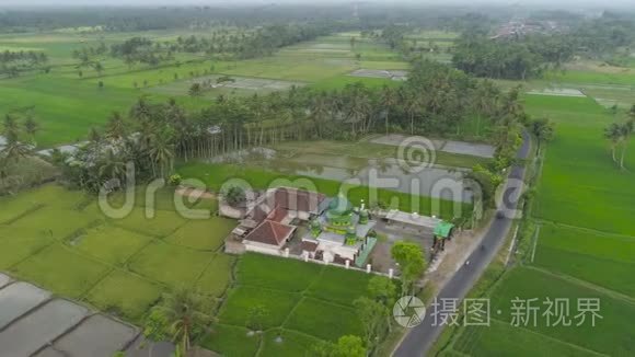 爪哇印度尼西亚稻田清真寺视频