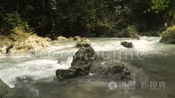 雨林里的河流视频