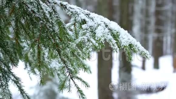 冬天下雪视频