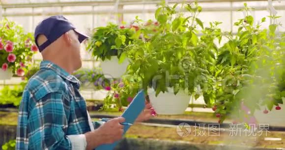 自信的男花匠检查盆栽植物视频