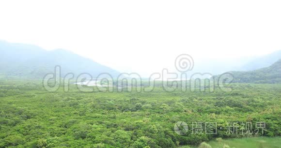 大岛阿姆米红树林雨天视频