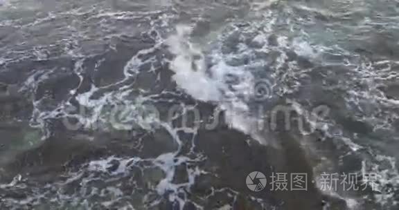 地中海海水水域海底景观