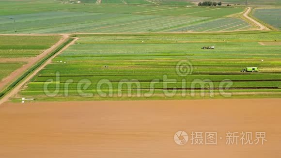 以上种植绿色作物的农地视频