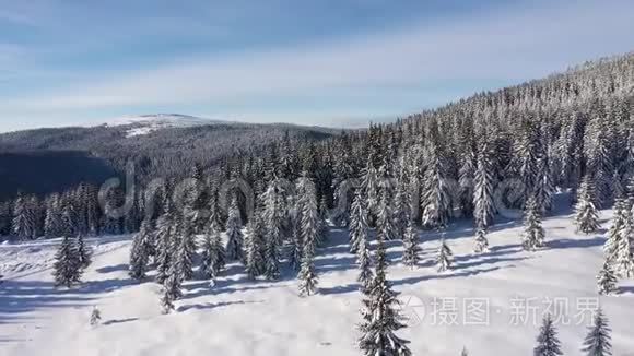 俯瞰冰雪覆盖的冬季森林视频