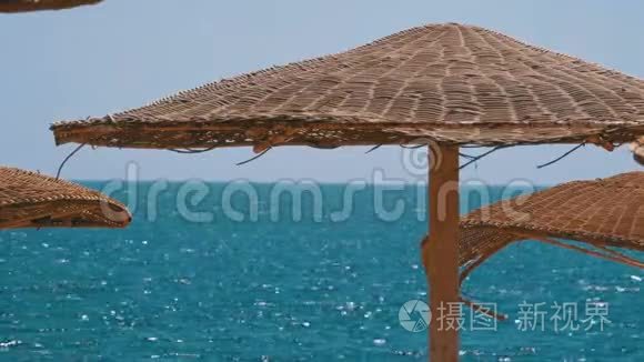 埃及空海滩上大海背景的雨伞