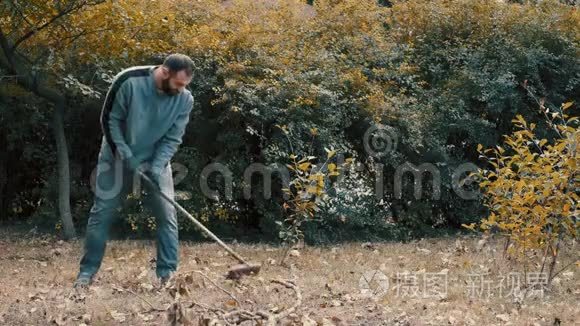 花园工人用耙子耙干花园里的树叶