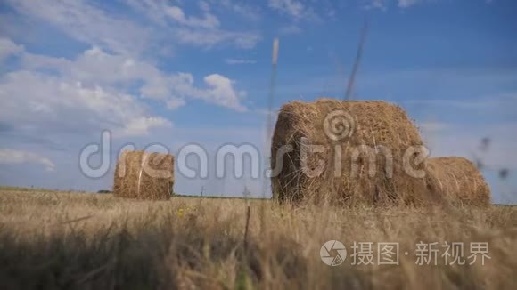 农业养殖概念慢动作视频.. 在美丽的蓝色多云的天空生活方式下，麦田上的干草堆