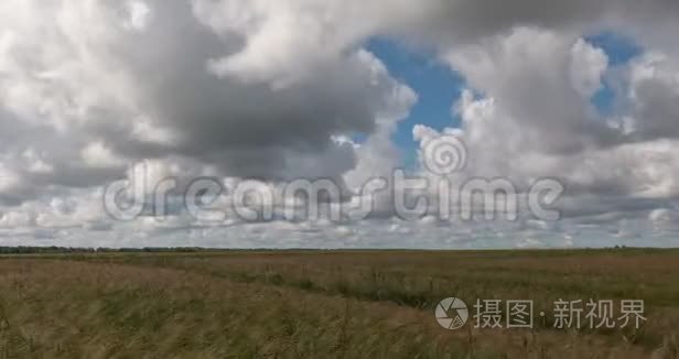 收割时麦田的时间圈景