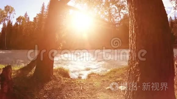 山河岸边的草甸。 有绿草，松树和阳光的景观.. 在机动滑块小车上运动。