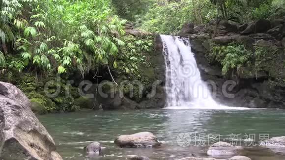 风景秀丽的毛伊瀑布视频