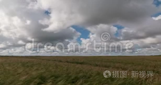 收割时麦田的时间圈景视频