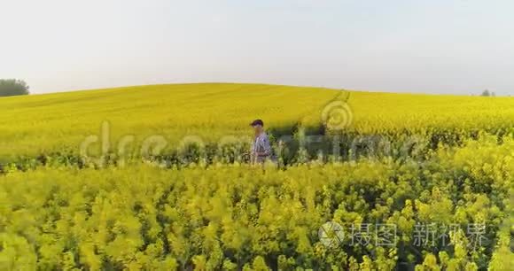 农民使用数字平板油菜田视频