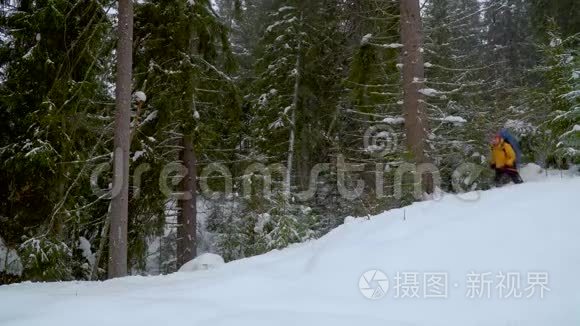 背包客在冬季森林徒步旅行视频