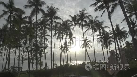 印度尼西亚巴厘岛度假胜地棕榈树、海洋和热带游泳池的全景