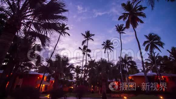 美丽夕阳背景下的棕榈树视频