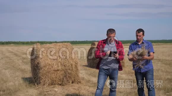 团队农业智慧农业理念.. 两个男的农民工人在数字上的田野上走在干草堆上
