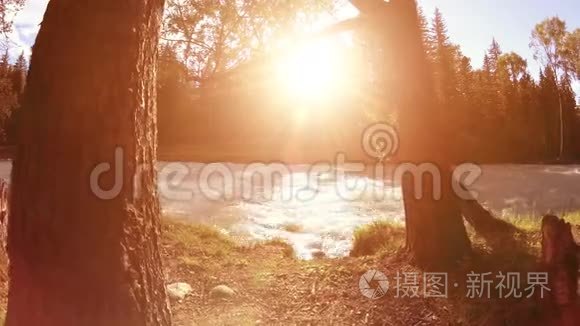 山河岸边的草甸。 有绿草，松树和阳光的景观.. 在机动滑块小车上运动。