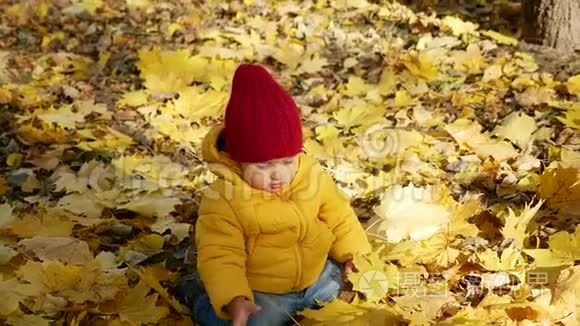 秋天在公园玩耍的快乐小男孩