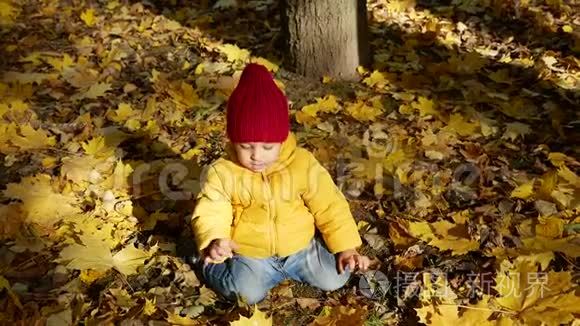 秋天在公园玩耍的快乐小男孩