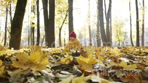 秋天在公园玩耍的快乐小男孩视频