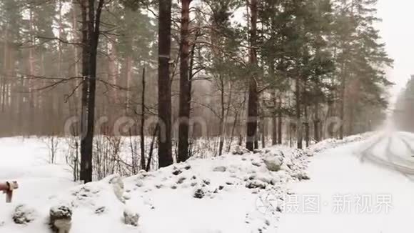 降雪时的冬季森林景观.