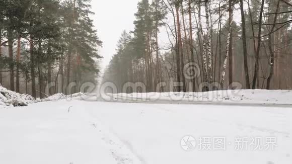 降雪时的冬季森林景观.