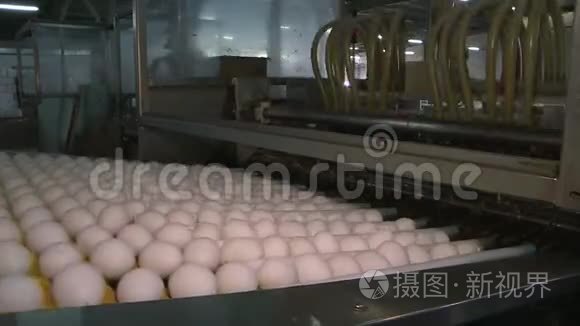 家禽养殖场的鸡卵.. 农业、工业