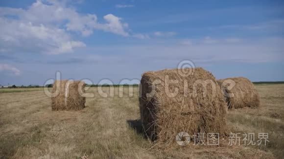 农业养殖概念慢动作视频.. 在美丽的蓝色多云天空下麦田上的干草堆。 农业