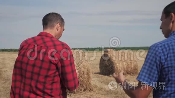 团队农业智慧农业理念.. 两个男的农民工人在数字上的田野上走在干草堆上