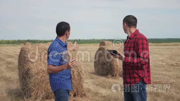 团队农业智慧农业理念.. 两个男子农民工人在野外生活方式的干草堆上研究数字