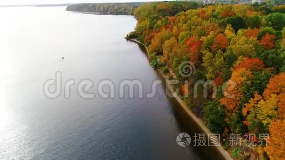 秋季飞越湖泊和森林视频