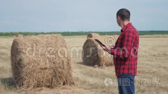 智慧农业理念.. 人类生活方式工人农民在数字平板电脑上的田野上研究干草堆。 慢慢